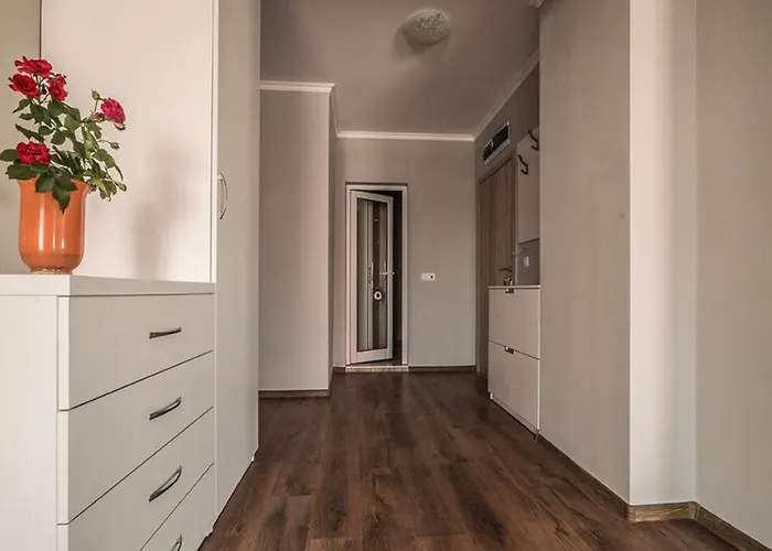 Macon Wellness & 3* Свети-Влас